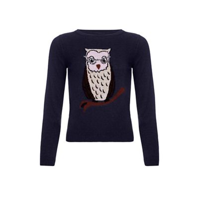 Yumi Girl Blue Owl Jumper With Sequins